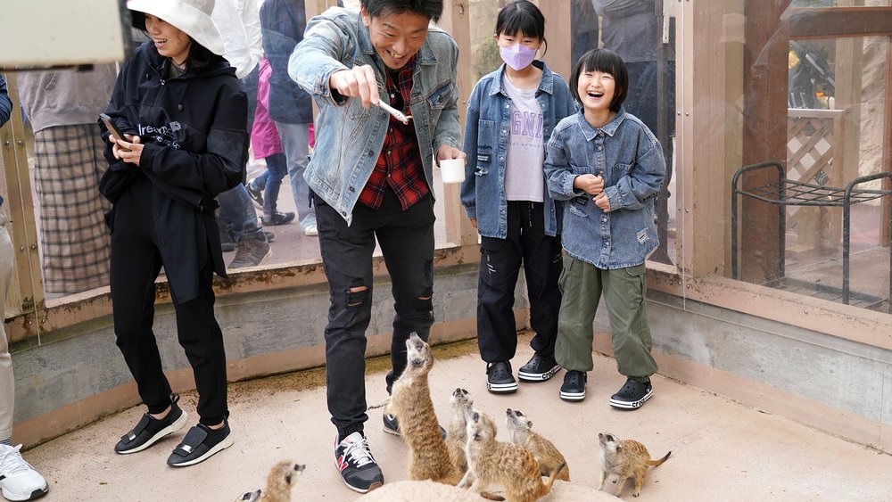 mt fuji road trip itinerary Fureai zone