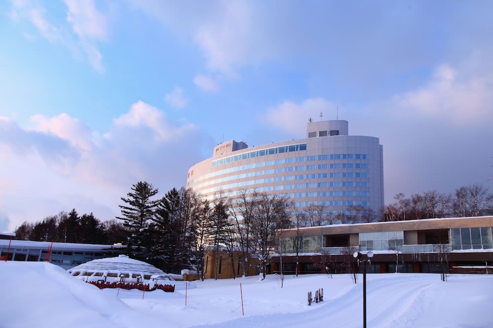 Furano Ski Resort - Shin Furano Prince Hotel in Winter