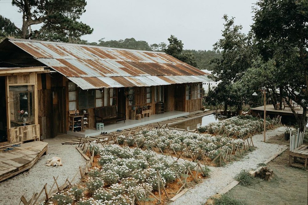 Nguồn ảnh: Cafebiz