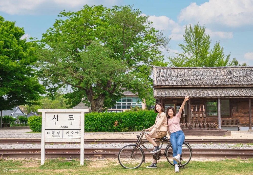 fall maple spot - elm forest girls on bicycle