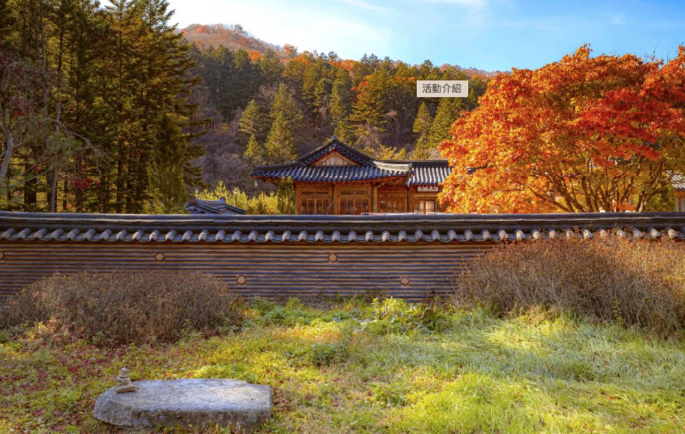 Fall Limited Edition Beauty 4 Secret Maple Viewing Spots in South