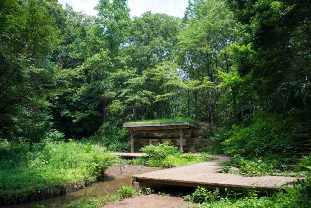 Studio Ghibli Locations to Visit