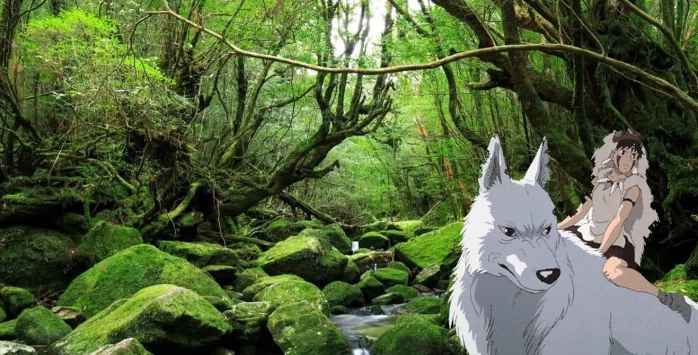 Studio Ghibli Locations to Visit