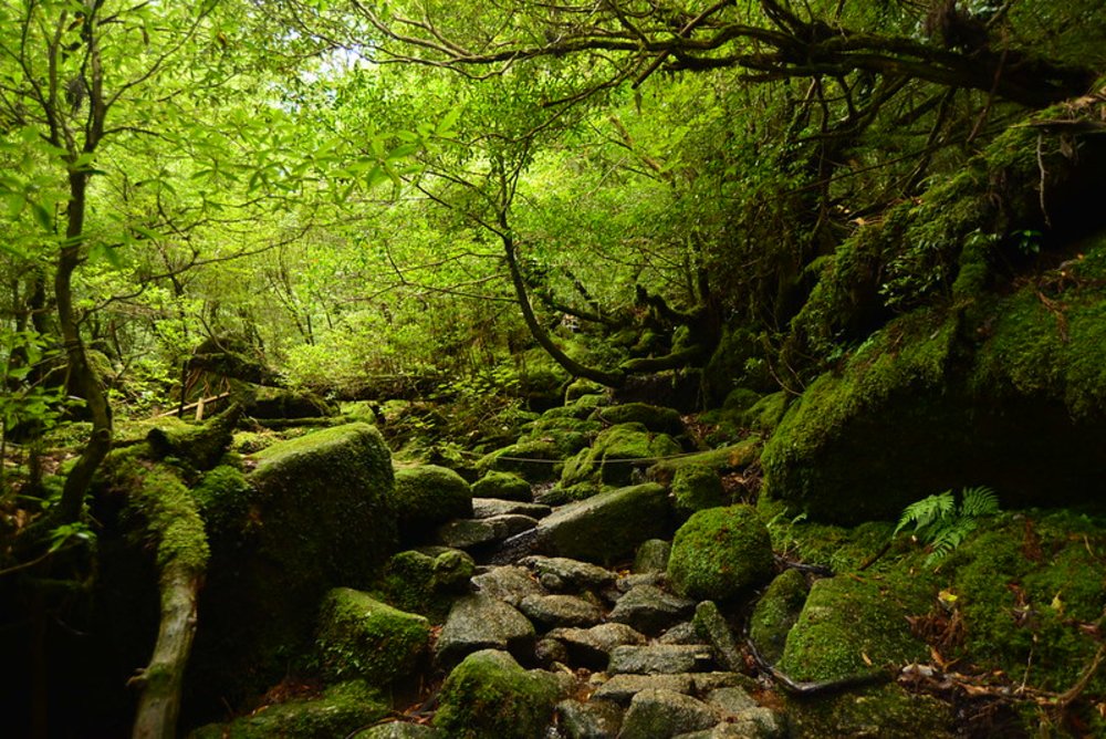 Studio Ghibli Locations to Visit