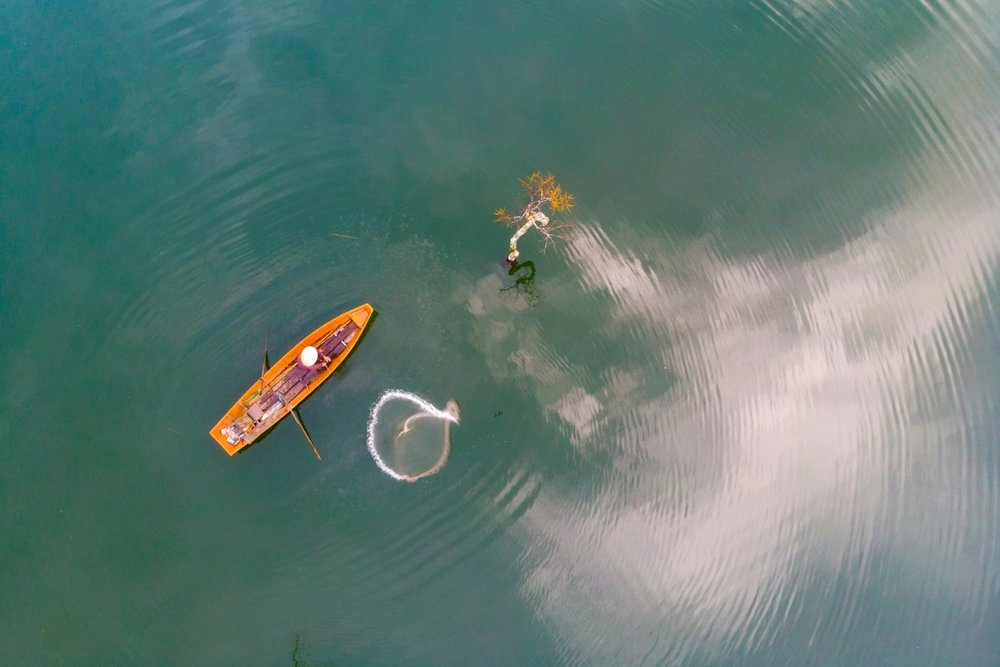 Câu Cá Hồ Tuyền Lâm