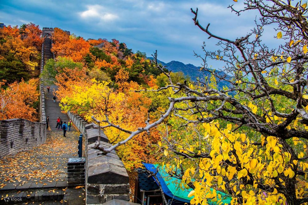 Tour Ngày Mộ Điền Cốc Vạn Lý Trường Thành Và Sân Vận Động Tổ Chim Bằng Xe Buýt Với Xe Đưa Đón