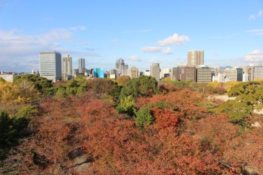 舞鶴公園 紅葉