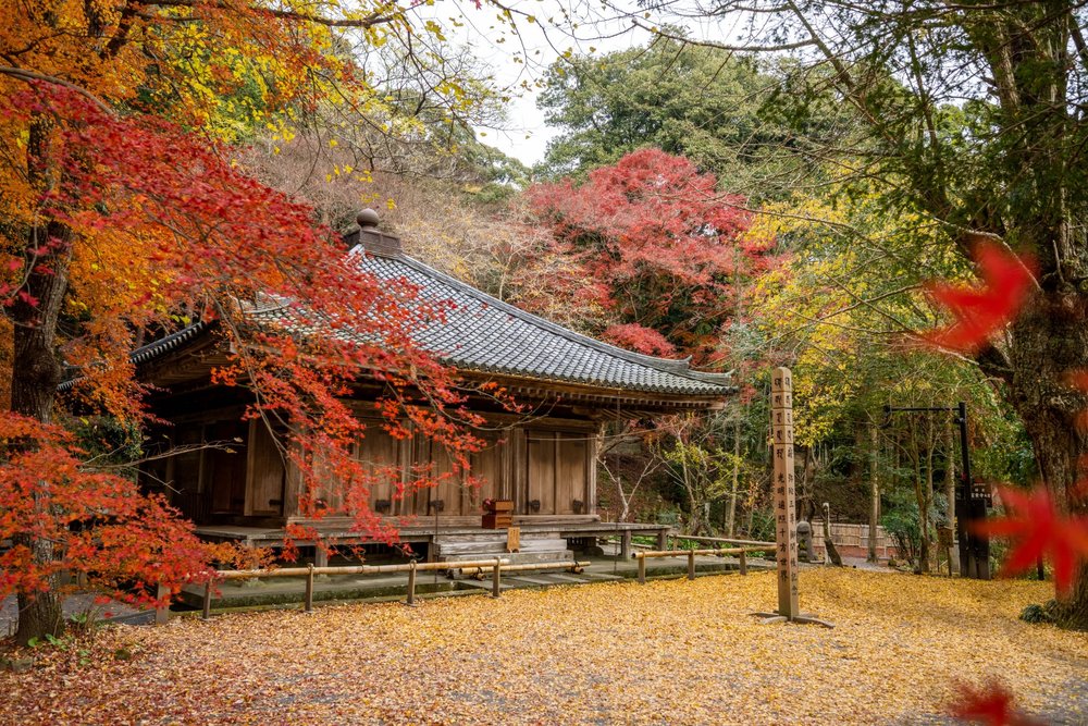 富貴寺 紅葉