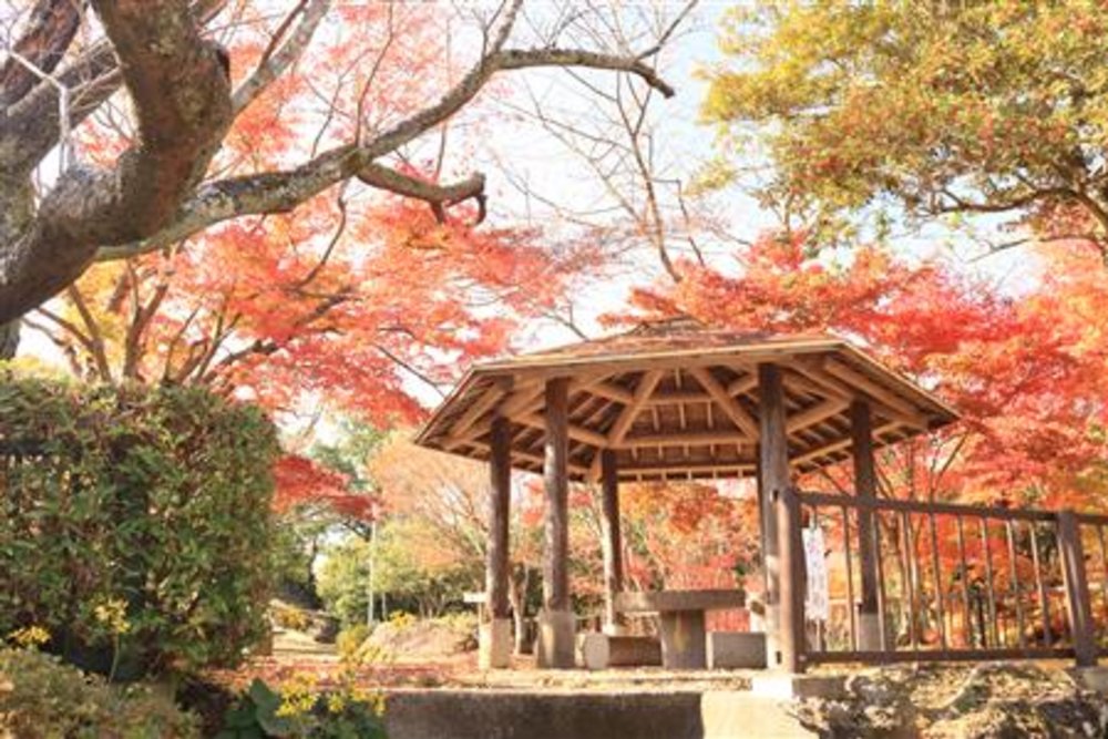 舞鶴城公園 紅葉