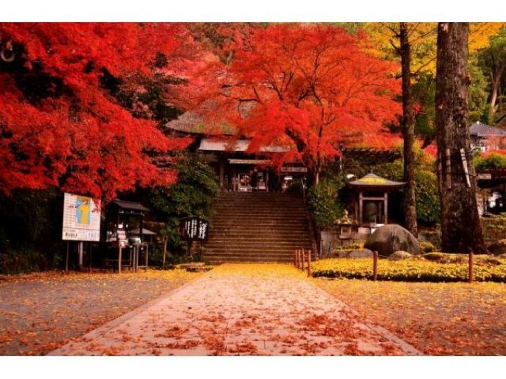 大興善寺 紅葉