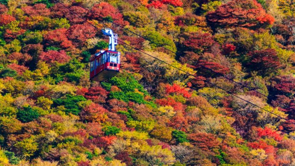 雲仙岳 紅葉