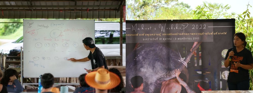 Merchant story EJS 2 Classes