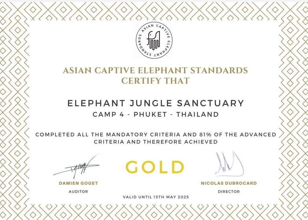 Merchant story EJS 3 ACES