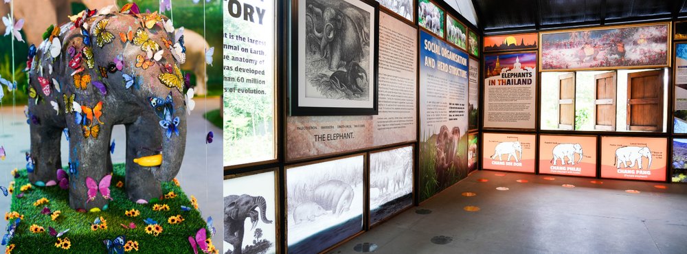 Merchant story EJS 4 Education