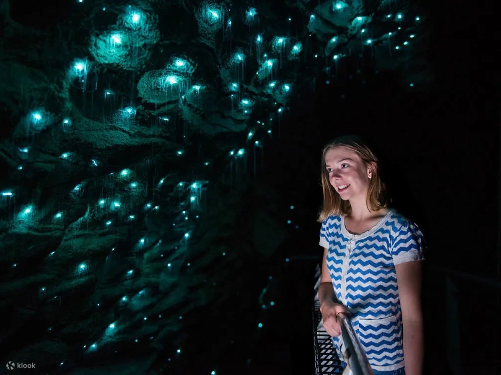 霍比屯 (Hobbiton) 與懷託摩洞穴 (Waitomo Caves) 之旅
