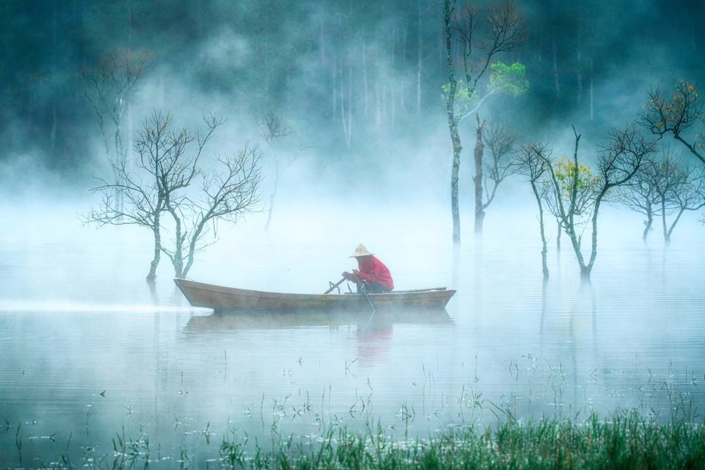 Câu Cá Hồ Tuyền Lâm