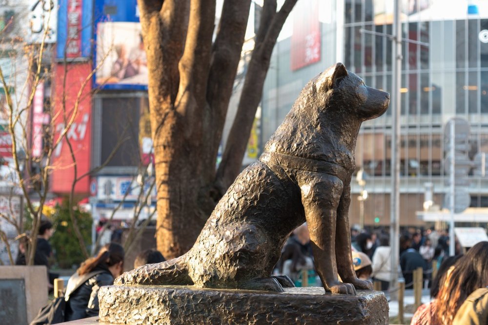 Shibuya - Trái Tim Trẻ Trung Của Tokyo