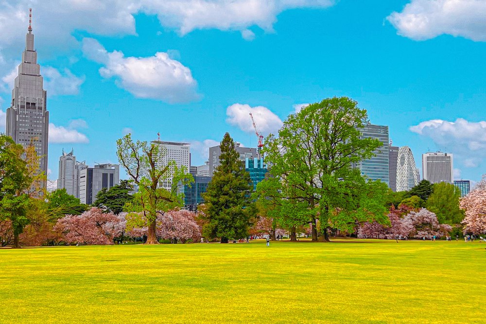 Vườn Quốc Gia Shinjuku Gyoen - Shinjuku