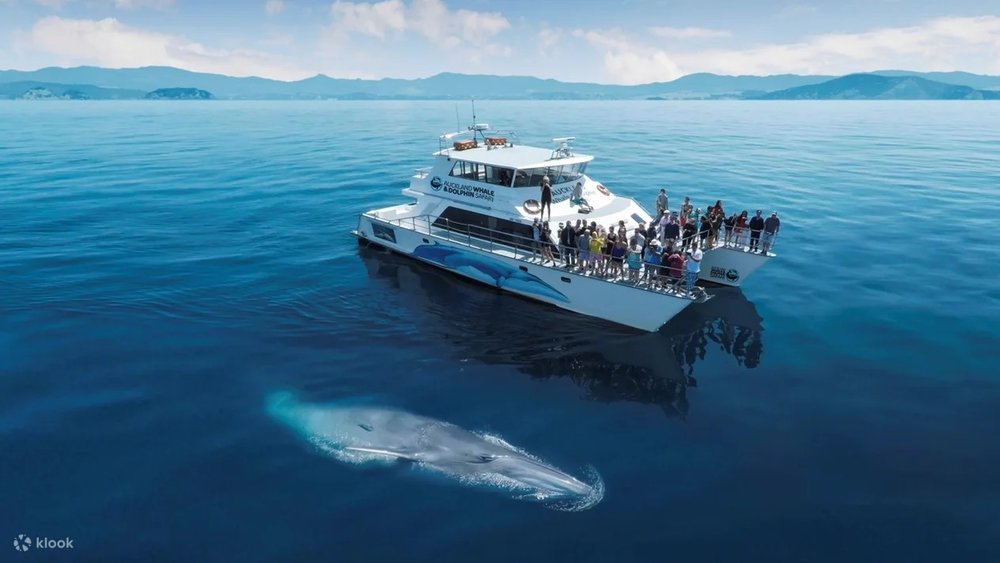 Công Viên Hải Dương Vịnh Hauraki Ở Auckland