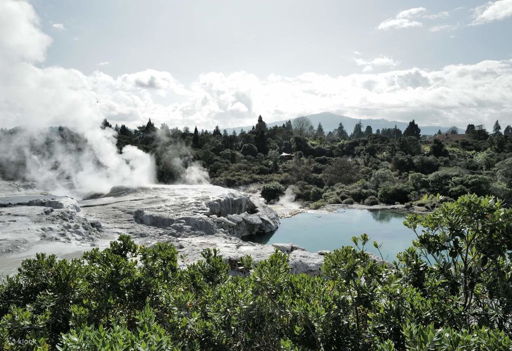 Khu Te Puia Ở Rotorua