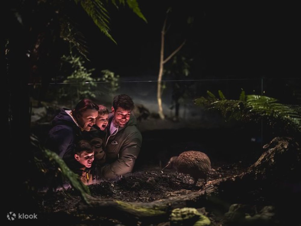 Công Viên Kiwi Park Queenstown