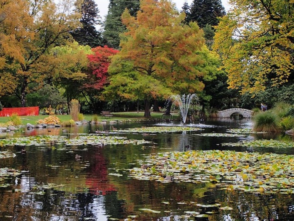 紐西蘭皇后鎮｜皇后鎮公園