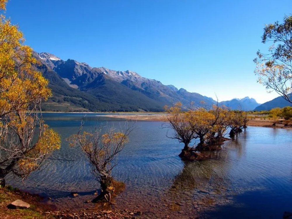 紐西蘭皇后鎮景點｜格林諾奇小鎮