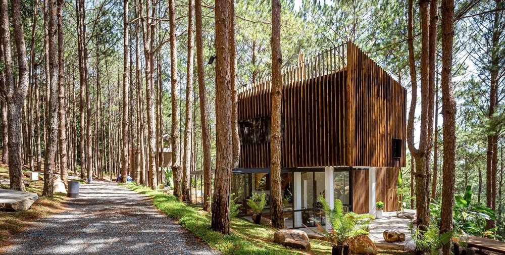 Rừng Thông Mơ Farm & Bistro