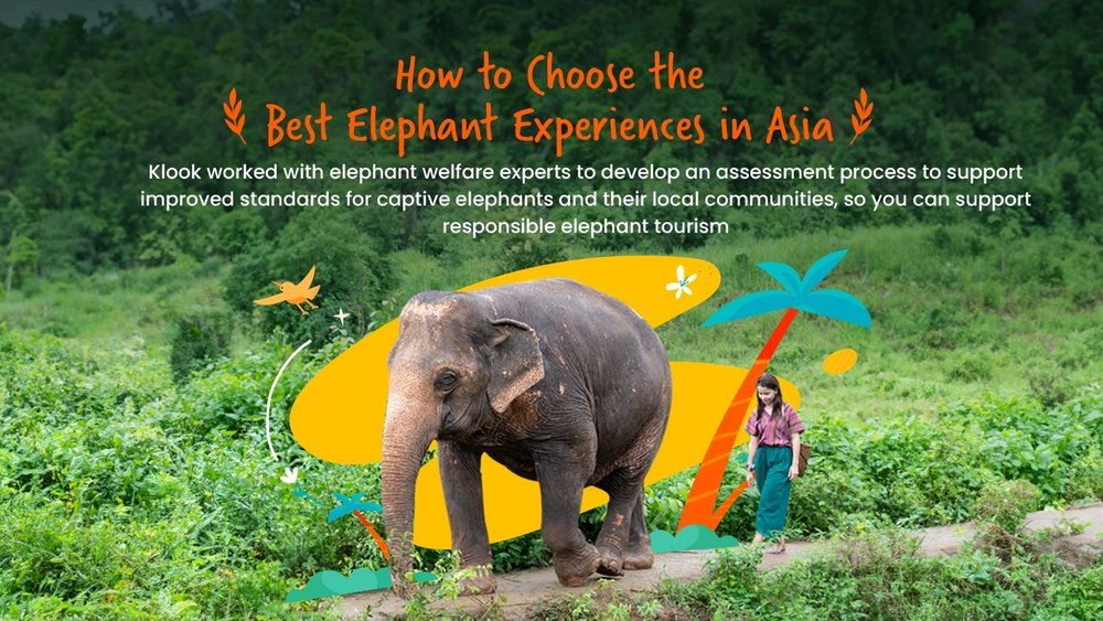 Klook Assessed Elephant Camps Page