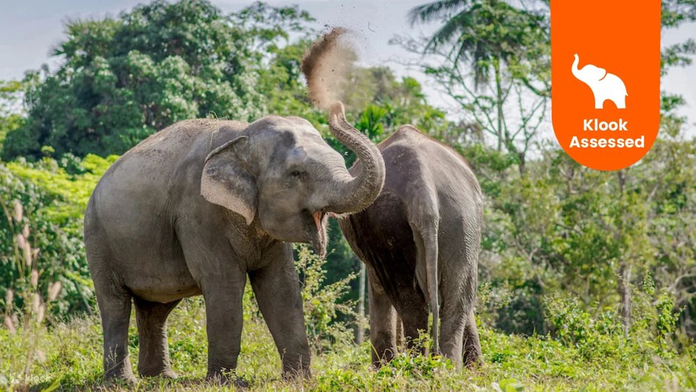 Klook Assessed Badge