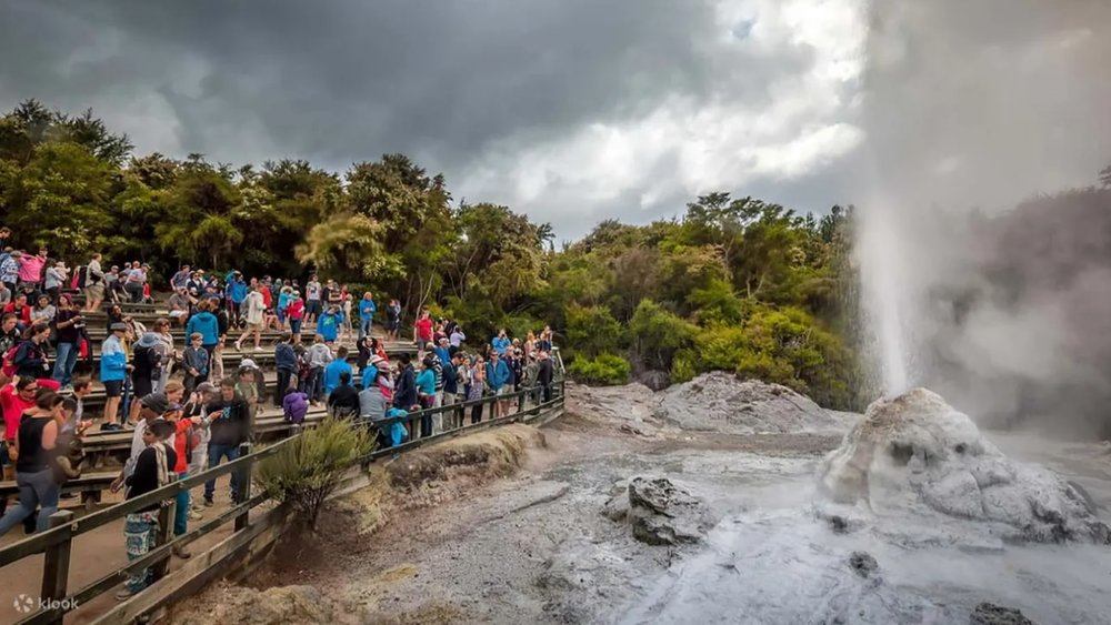 Wai O Tapu Lady Knox Geyser - audience watching Lady Knox Geyser eruption