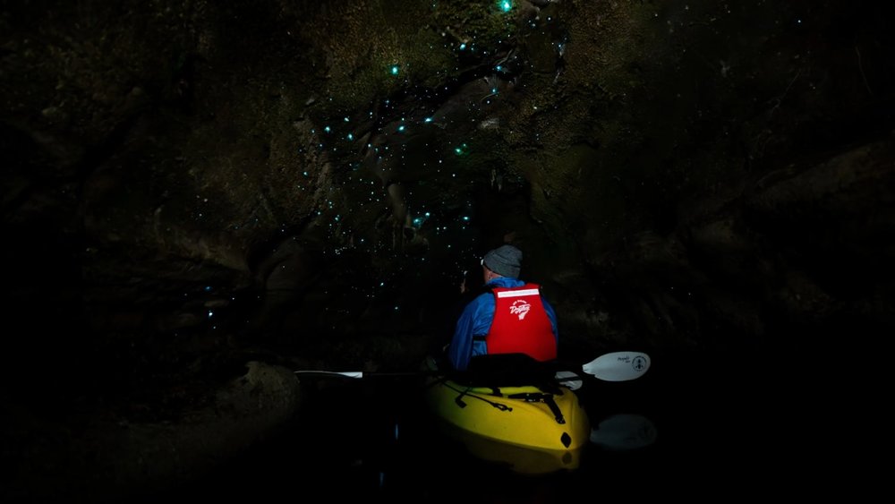 Rotorua Glow Worm Kayak - Kayaker inside Rotorua glow worm caves