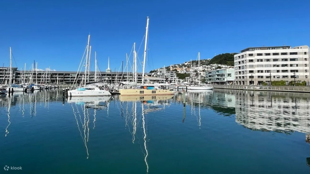 New Zealand North Island Road Trip Itinerary wellington harbour - yachts parked in wellington dock