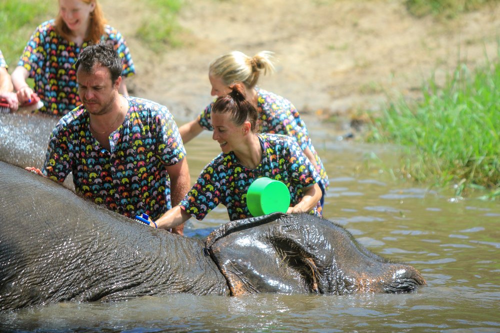 Kanta Elephant Half Day Tour