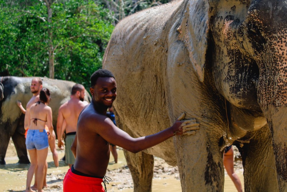 Aonang Elephant Sanctuary