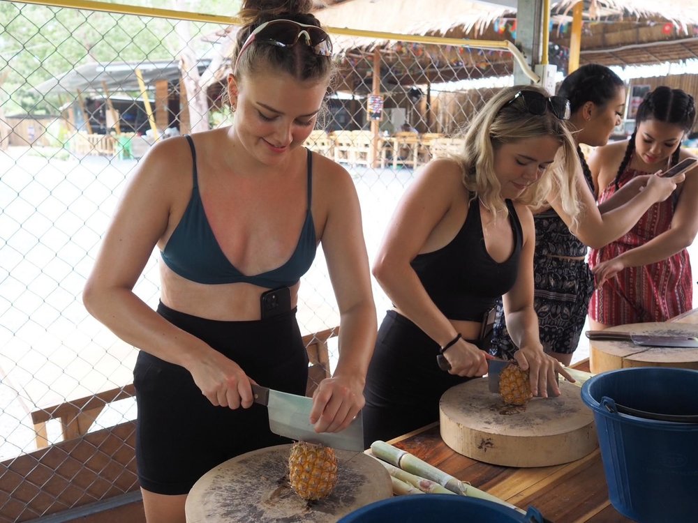 Phuket Elephant Care Sanctuary