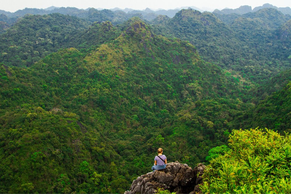 Rừng Quốc Gia Cát Bà
