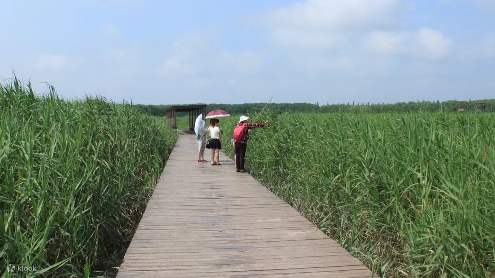 Tour Tham Quan Đảo Sùng Minh (Chongming) Bằng Xe Đạp Từ Thượng Hải