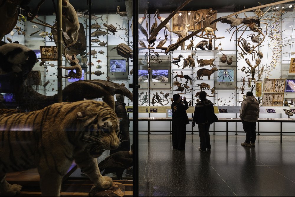 american museum of national history