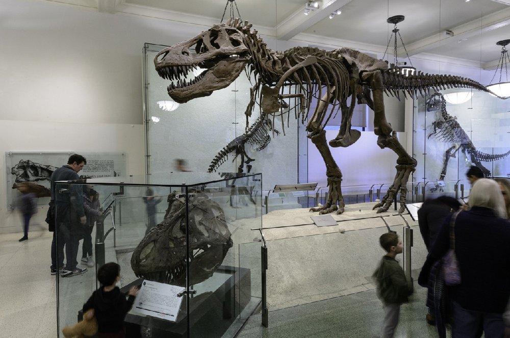 american museum of national history