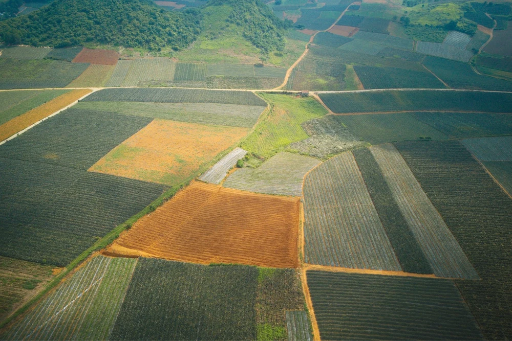 Đồi Dứa Tam Điệp, Ninh Bình