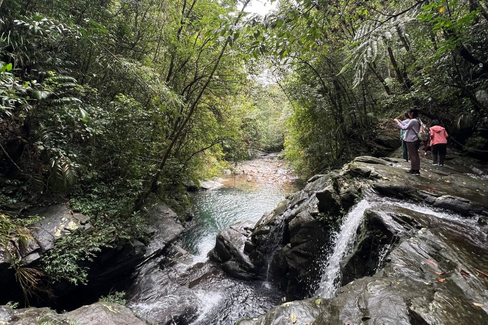 Central Vietnam Itinerary - Bach Ma National Park Day Trip