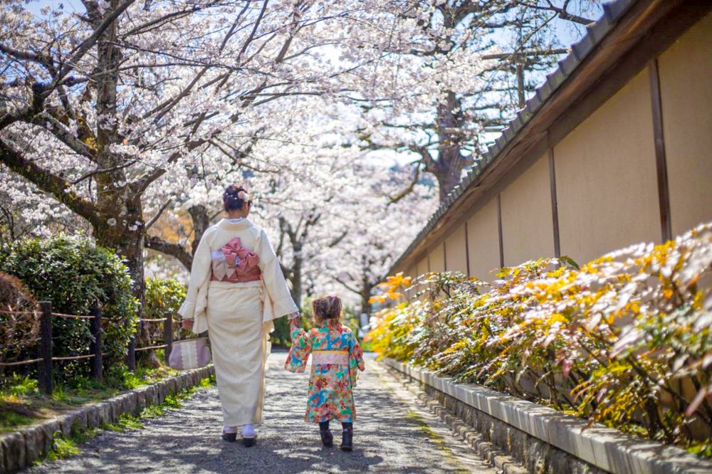 Mother and daughter walking down a sakura Street with Kimono