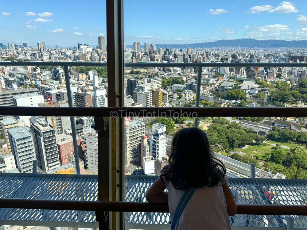 View from Tsutenkaku