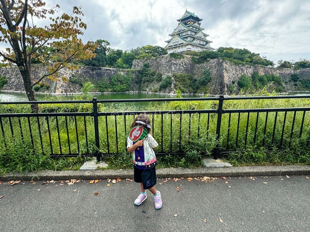 Osaka Castle Tiny Tot in Tokyo