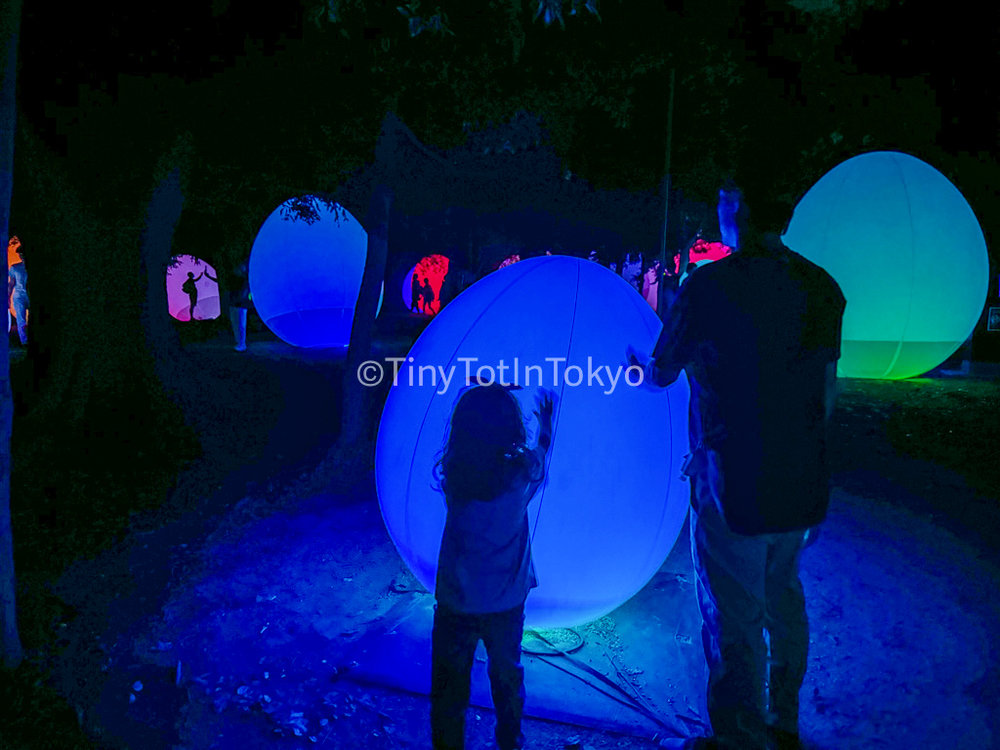 teamLab Botanical Garden. Photo Courtesy of Tiny Tot in Tokyo