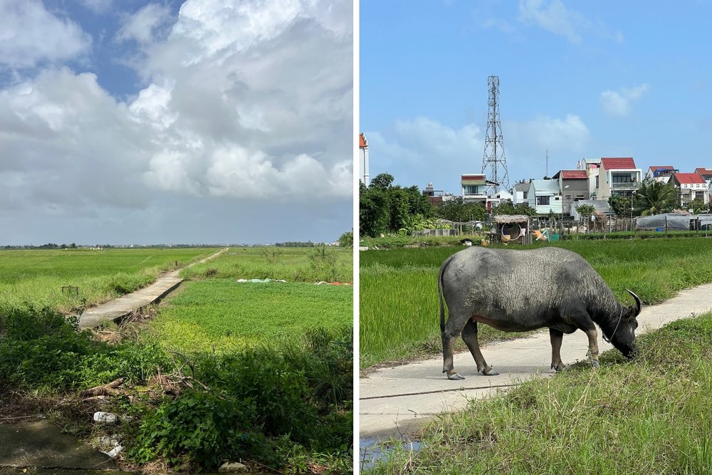 Central Vietnam Itinerary - Cycling from Hoi An to An Bang Beach