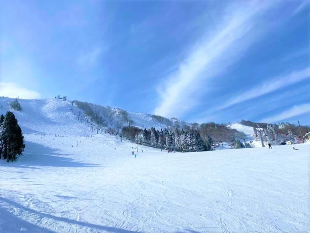 Hachi Kita Kogen Ski Resort - Hyogo