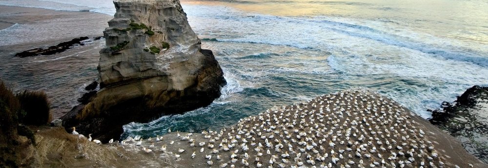 north island day trips