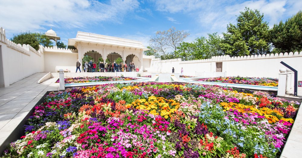 north island day trips